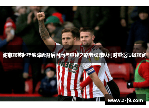 谢菲联英超垫底降级背后困局与重建之路老牌球队何时重返顶级联赛
